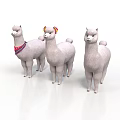Three White Alpacas Standing With One Wearing Red Scarf On White Background