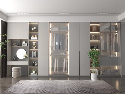 Modern Wardrobe With Glass Doors Built-in Lighting Clothes Storage Dressing Area Potted Plant And Rug 3d model