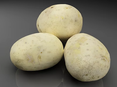 Three Fresh White Potatoes on Gray Background for Healthy Cooking Ingredients 3d model