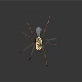 Modern Machine Spider Robot Cyber Spider Cyberpunk Spider Science Fiction Spider 3d model