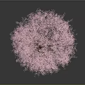 Lush Vibrant Pink Flowering Tree With Blooming Branches Against Gray Background