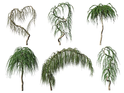 Arbor Trees With Various Weeping Branch Shapes And Lush Green Foliage 3d model