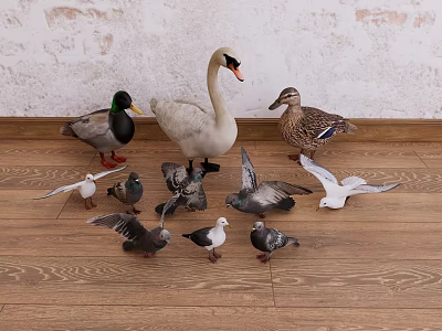 Various Flying Animals Including Swan Ducks And Pigeons On Wooden Floor With White Wall 3d model