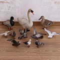 goose duck goose dove seagull 3d model