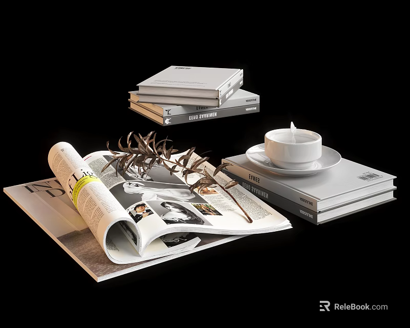 Stylish Open Magazine with Stack of Books and Teacup on Saucer with Decorative Twigs 3d model 