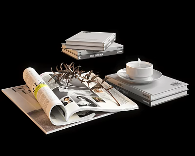 Stylish Open Magazine with Stack of Books and Teacup on Saucer with Decorative Twigs 3d model