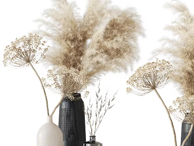 Dried Pampas Grass and Umbelliferous Flowers in Decorative White Dark Colored Vases for Minimalist Decor 3d model