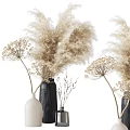 Dried Pampas Grass and Umbelliferous Flowers in Decorative White Dark Colored Vases for Minimalist Decor