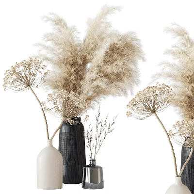 Dried Pampas Grass and Umbelliferous Flowers in Decorative White Dark Colored Vases for Minimalist Decor 3d model