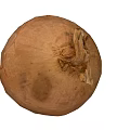 Whole Fresh Brown Onion With Dry Outer Skin And Natural Texture