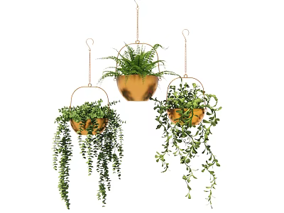 Three Hanging Planters With Trailing Green Plants In Decorative Brown Pots 3d model