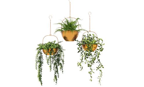 Modern hanging basket decoration plant lifting plant hanging basket 3d model