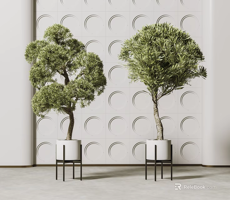 Bonsai Plants in White Pots with Black Stands Against Circular Patterned Wall 3d model 