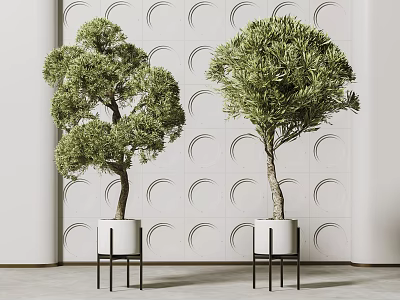 Bonsai Plants in White Pots with Black Stands Against Circular Patterned Wall 3d model