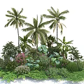 Lush Tropical Garden With Palm Trees Ferns And Pink Flowering Plants