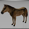 Brown Horse Standing Full Body Side View With Brown Mane On Gray Background