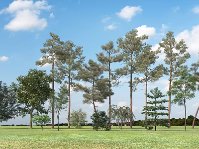 Tall Diverse Arbor Trees Growing in Lush Green Grassland Under Blue Sky and White Clouds 3d model