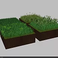 Various Green Plants Growing On Square Soil Blocks With Different Grass Types 3d model