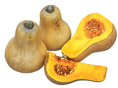 Fresh Organic Butternut Squash Vegetables Whole And Sliced With Orange Flesh And Seeds 3d model