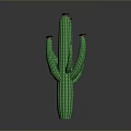 Green Cactus Plant With White Flowers And Multiple Branches On Dark Background