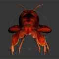 Detailed Realistic Red Crayfish With Shiny Exoskeleton And Orange Legs