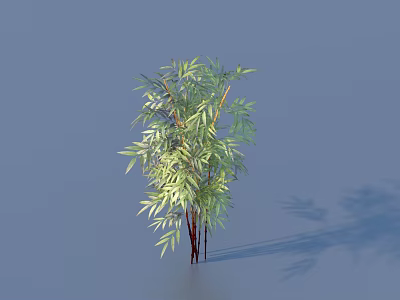 Lush Green Bamboo Plant With Red Stems And Leafy Canopy Casting Shadow 3d model
