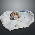 Resting Horseshoe Crab on Sandy Beach with Small Stones and Wood Debris
