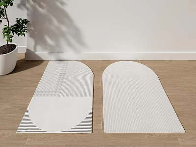 Stylish Arched Rugs with Geometric Patterns on Wooden Floor Near Potted Plant and White Wall 3d model