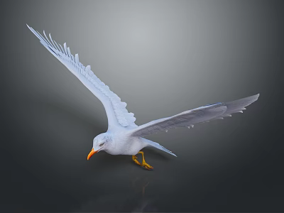 White Seagull Flying Animal With Spreading Wings Orange Beak And Yellow Feet 3d model