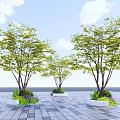 Green Leafy Tree with Trunks in White Planter and Purple Flowers Under Blue Sky