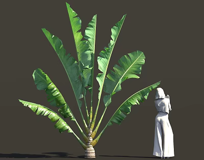 Lush Green Shrub With Large Leaves And Human Figure In Background 3d model