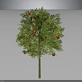Vibrant Fruit Tree With Green Leaves And Red Orange Fruits As Healthy Food Source