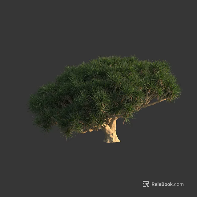 Lush Green Tree with Dense Foliage and Light Colored Curved Trunk 3d model 