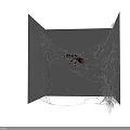 Reptile Exploring Intricate Spider Web in Gray Enclosed Space Environment 3d model