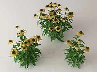 Yellow Potted Flowers With Green Leaves For Decorative Indoor Floral 3d model