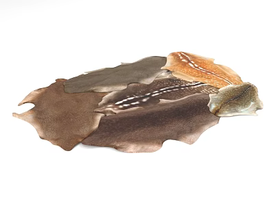 Stylish Shaped Rugs in Various Earthy Tones with Natural Texture and Unique Patterns 3d model