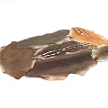 Stylish Shaped Rugs in Various Earthy Tones with Natural Texture and Unique Patterns