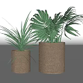 Two Decorative Potted Plants In Woven Brown Pots With Green Leaves