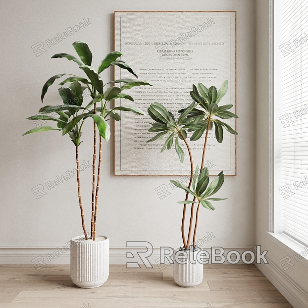 Modern indoor potted plant model