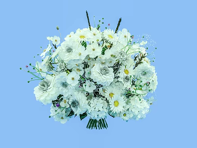 Beautiful White Flower Bouquet With Various White Flowers And Blue Background 3d model