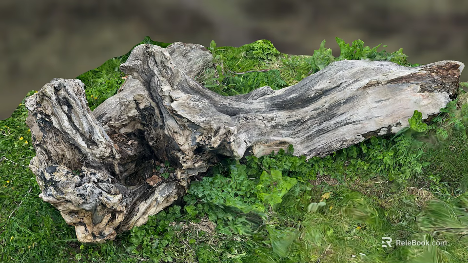 Natural Weathered Wood Log Surrounded By Green Grass And Lush Plants 3d model 