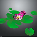 Stunning Pink Lotus Flowers with Fresh Green Leaves on Dark Background Water Plant
