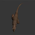Realistic Tyrannosaurus Rex Dinosaur 3D Model With Detailed Texture And Standing Pose