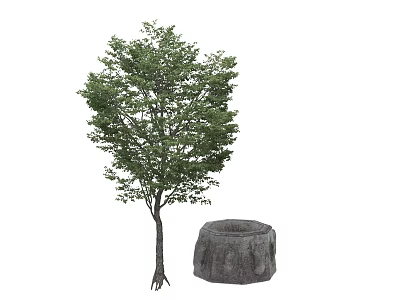 Lush Green Arbor With Dense Foliage Standing Next To Old Stone Mill Structure 3d model