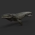 Ancient Aquatic Reptile With Scaly Skin Long Snout And Flipper Limbs