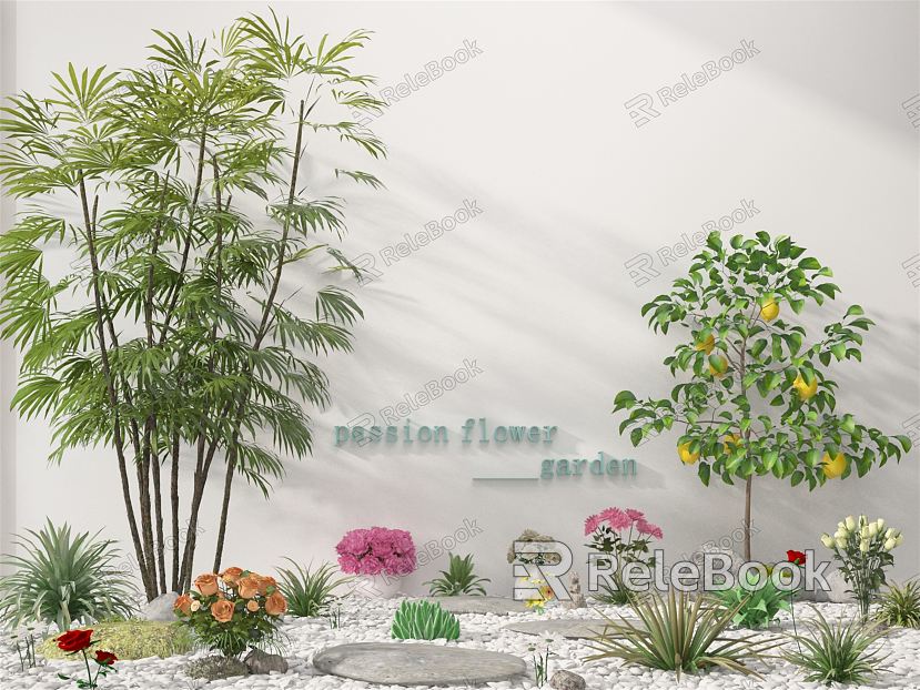 Modern Plant Plant Combinations model