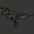 Realistic Tyrannosaurus Rex 3D Model Standing With Open Mouth On Gray Background