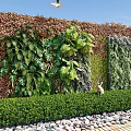 Outdoor Garden Living Plant Wall With Lush Green Plants And Natural Scenery