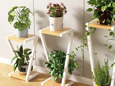 Diverse Bonsai Potted Plants On Wooden And White Plant Stands With Decorative Pots 3d model