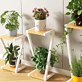 Diverse Bonsai Potted Plants On Wooden And White Plant Stands With Decorative Pots